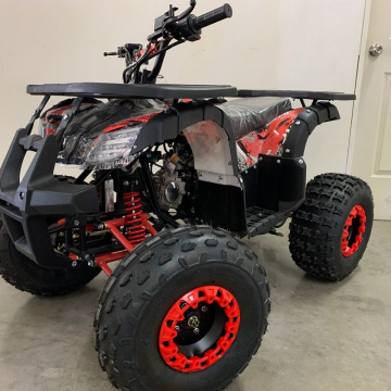 Cuatrimoto Extreme 125cc